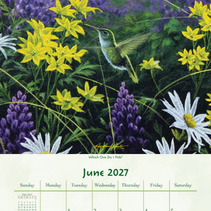 Pine Ridge Birds of a Feather Kalender 2027 Small