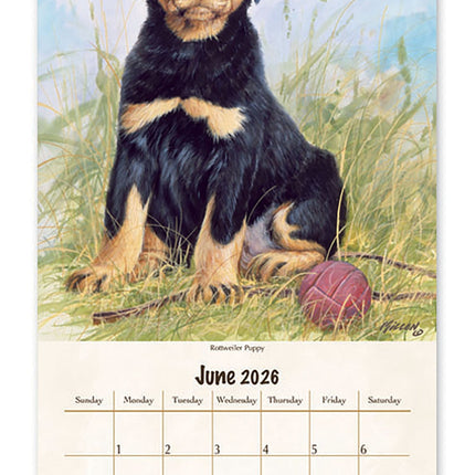 Pine Ridge Must Love Dogs Kalender 2026 Small
