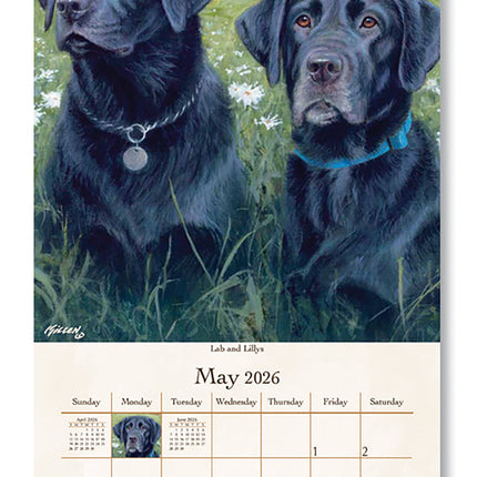 Pine Ridge Must Love Dogs Kalender 2026 Small