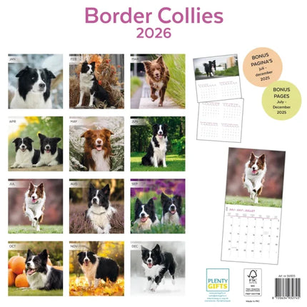 Plenty Gifts Border Collie Kalender 2026