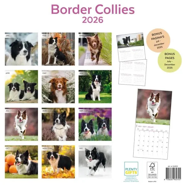 Border Collie Calendar 2026 Slimline Calendar With Free Organisational Stickers | Desertcart