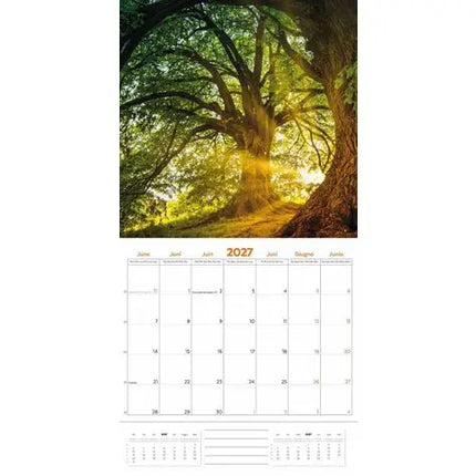 Plenty Gifts Bos en Natuur Kalender 2027