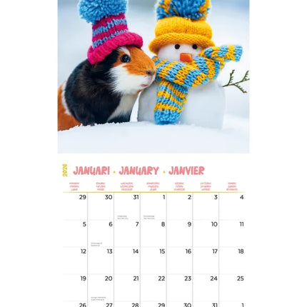 Plenty Gifts Cavia Studio Kalender 2026