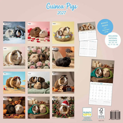Plenty Gifts Cavia Studio Kalender 2027