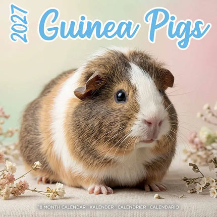 Plenty Gifts Cavia Studio Kalender 2027