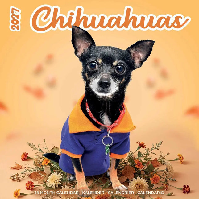 Plenty Gifts Chihuahua Studio Kalender 2027