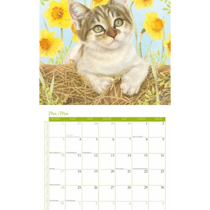 Plenty Gifts Franciens Katten Kalender 2027