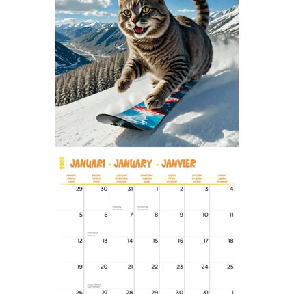 Plenty Gifts Funniest Cats Kalender 2026