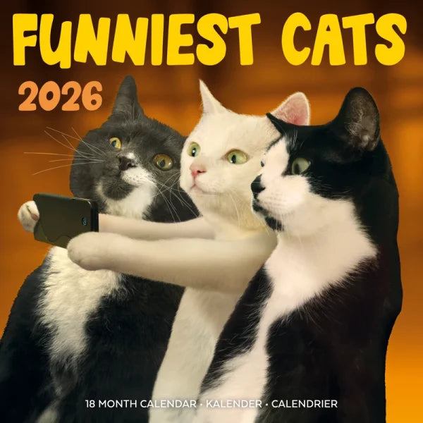 Plenty Gifts Funniest Cats Kalender 2026