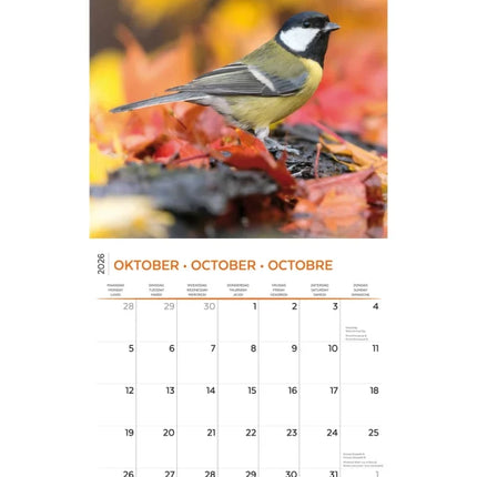 Plenty Gifts Garden Birds Kalender 2026