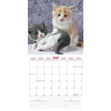 Plenty Gifts I Love Kittens Kalender 2027