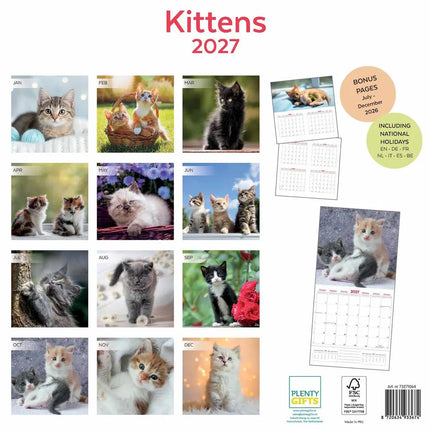 Plenty Gifts I Love Kittens Kalender 2027