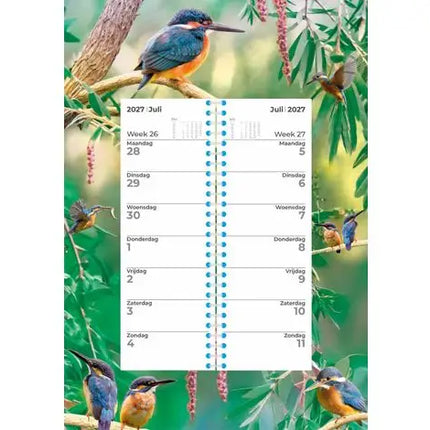 Plenty Gifts IJsvogel Weekomleg Kalender 2027