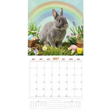 Plenty Gifts Konijnen Studio Kalender 2027