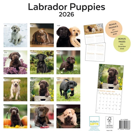 Plenty Gifts Labrador Retriever Puppies Kalender 2026