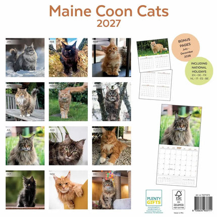 Plenty Gifts Maine Coon Kalender 2027