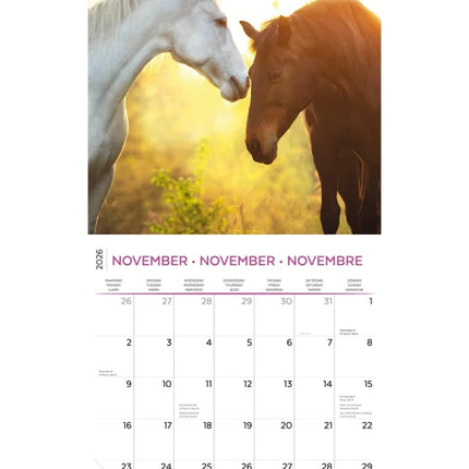 Plenty Gifts Paarden Kalender 2026