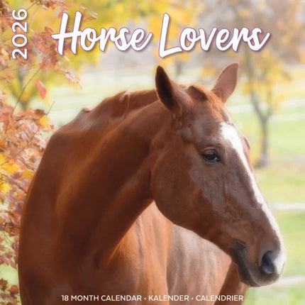 Plenty Gifts Paarden Kalender 2026