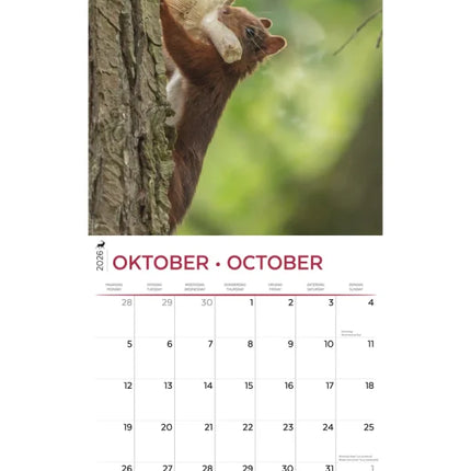 Plenty Gifts Park de Hoge Veluwe Kalender 2026