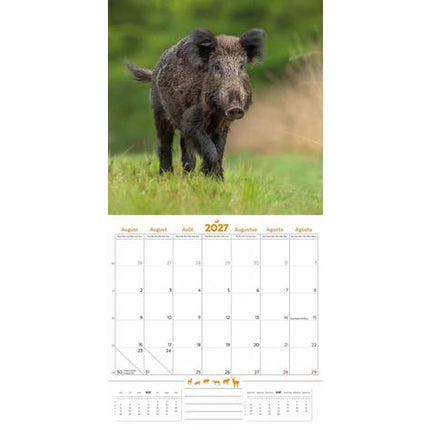 Plenty Gifts Park de Hoge Veluwe Kalender 2027