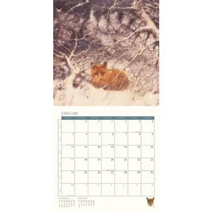 Plenty Gifts Rien Poortvliet Kalender 2027 Natuur