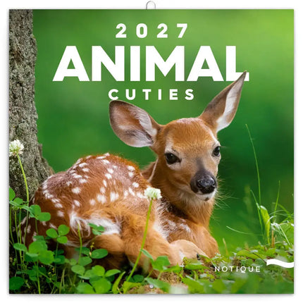Presco Animal Cuties Kalender 2027