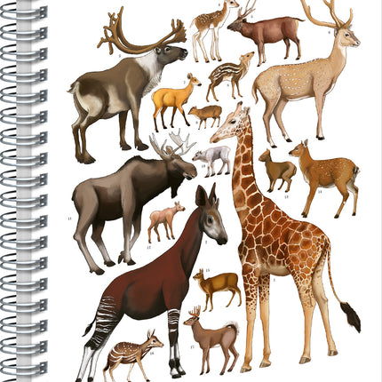 Presco Animalium – Artiodactyls Spiraal Notitieboek A5 Blanco