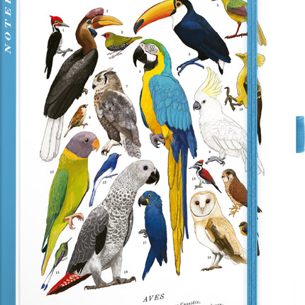 Presco Animalium – Birds Notitieboek A5