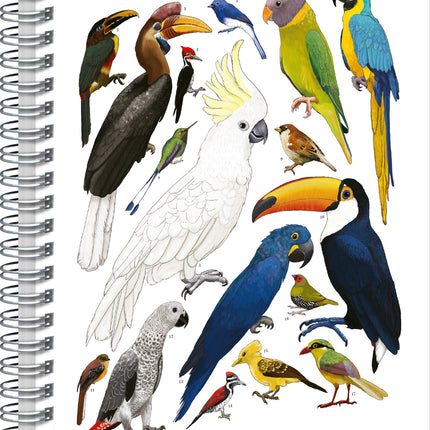 Presco Animalium – Birds Spiraal Notitieboek A4 Blanco