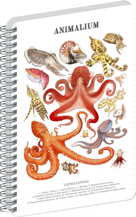 Presco Animalium – Cephalopods Spiraal Notitieboek A5