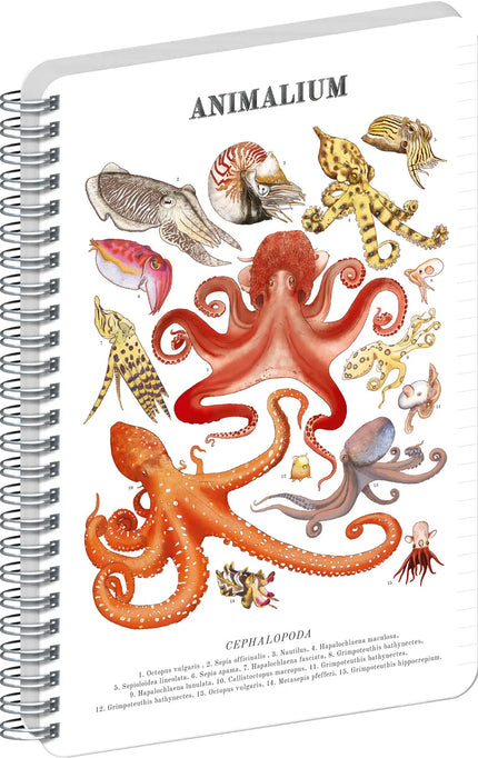 Presco Animalium – Cephalopods Spiraal Notitieboek A5