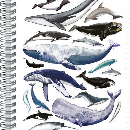 Presco Animalium – Marine Life Spiraal Notitieboek A4