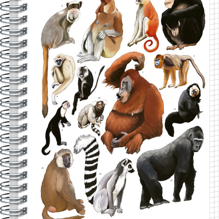 Presco Animalium – Primates Spiraal Notitieboek A5 Ruitjes