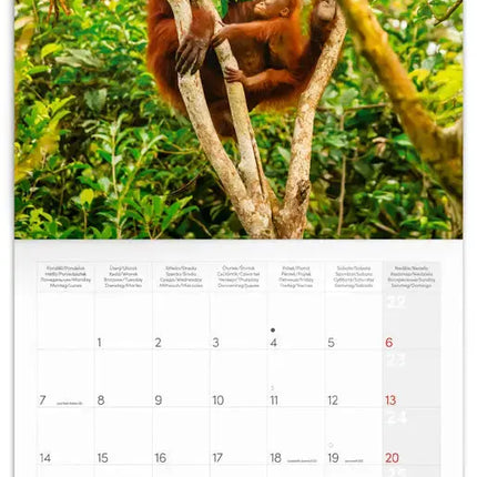 Presco Bedreigde Dieren Kalender 2027
