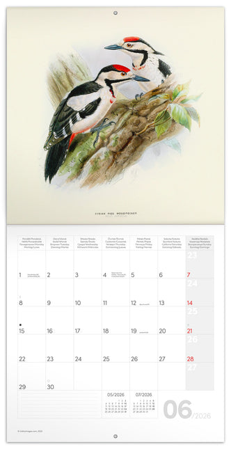 Presco Birds in Art Kalender 2026