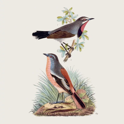 Presco Birds in Art Kalender 2027