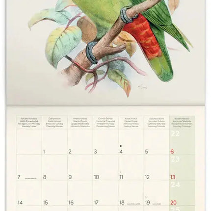 Presco Birds in Art Kalender 2027
