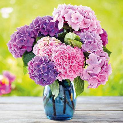 Presco Bloemen Kalender 2026