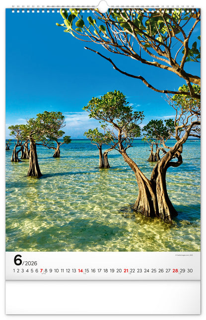 Presco Bomen Kalender 2026 Groot