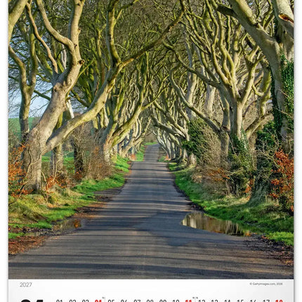 Presco Bomen Kalender 2027 Groot