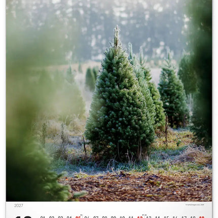 Presco Bomen Kalender 2027 Groot