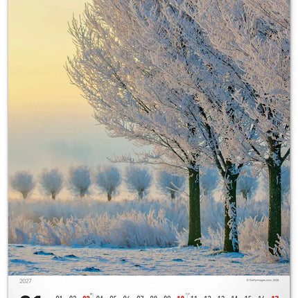 Presco Bomen Kalender 2027 Groot
