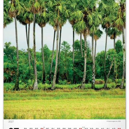 Presco Bomen Kalender 2027 Groot