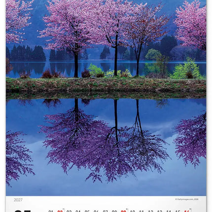 Presco Bomen Kalender 2027 Groot