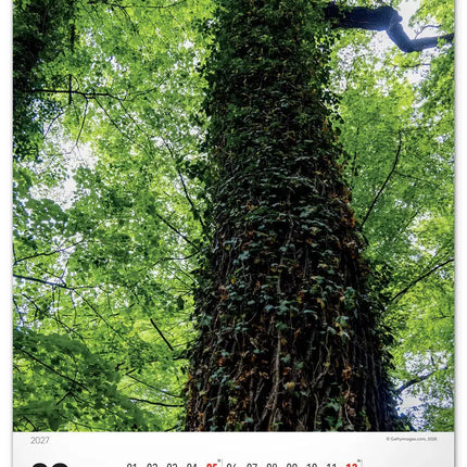 Presco Bomen Kalender 2027 Groot