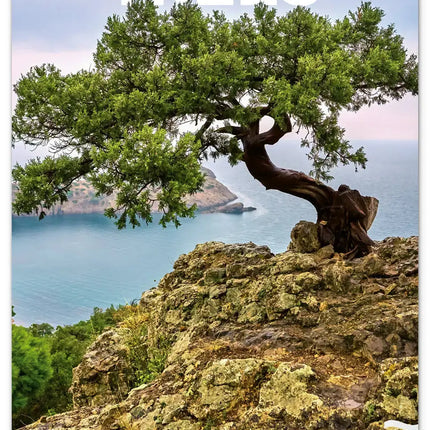 Presco Bomen Kalender 2027 Groot