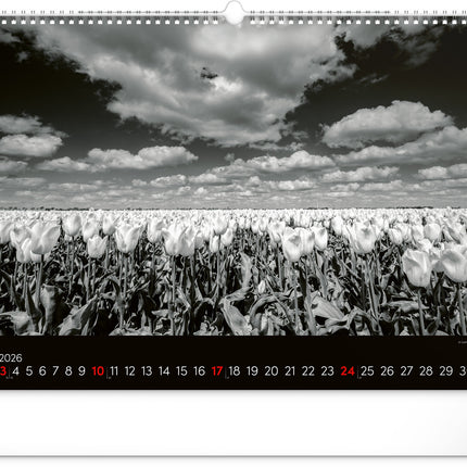 Presco Droomlandschappen Kalender Groot 2026