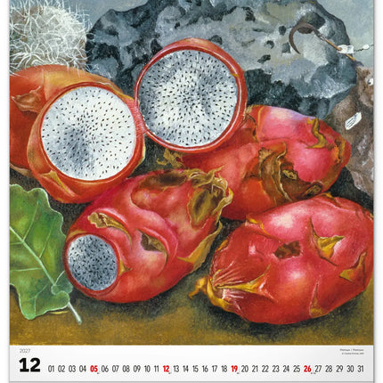 Presco Frida Kahlo Kalender 2027 Groot