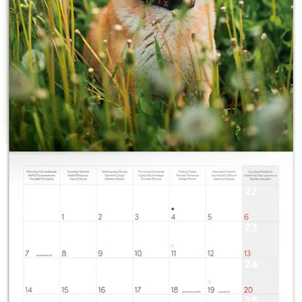 Presco Happy Dog Kalender 2027