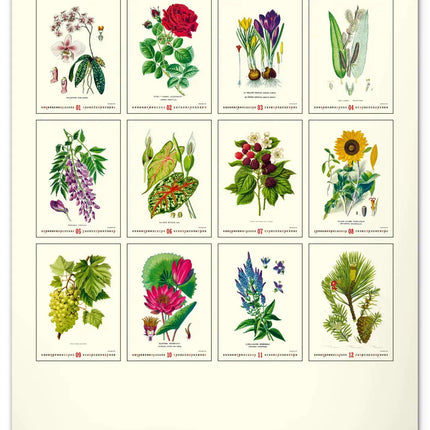 Presco Herbarium Kalender 2027 Groot